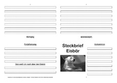 Eisbär-Faltbuch-vierseitig-10.pdf